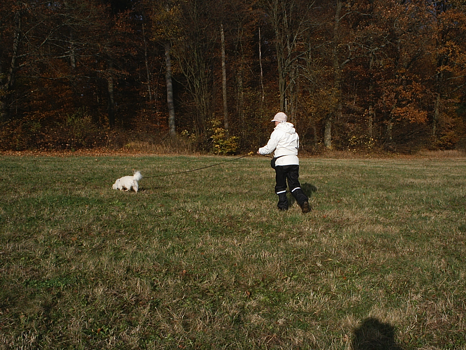 Freds Camera 018.jpg
